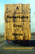 ARemarkableGreyHorseCover ARemarkableGreyHorseCover
